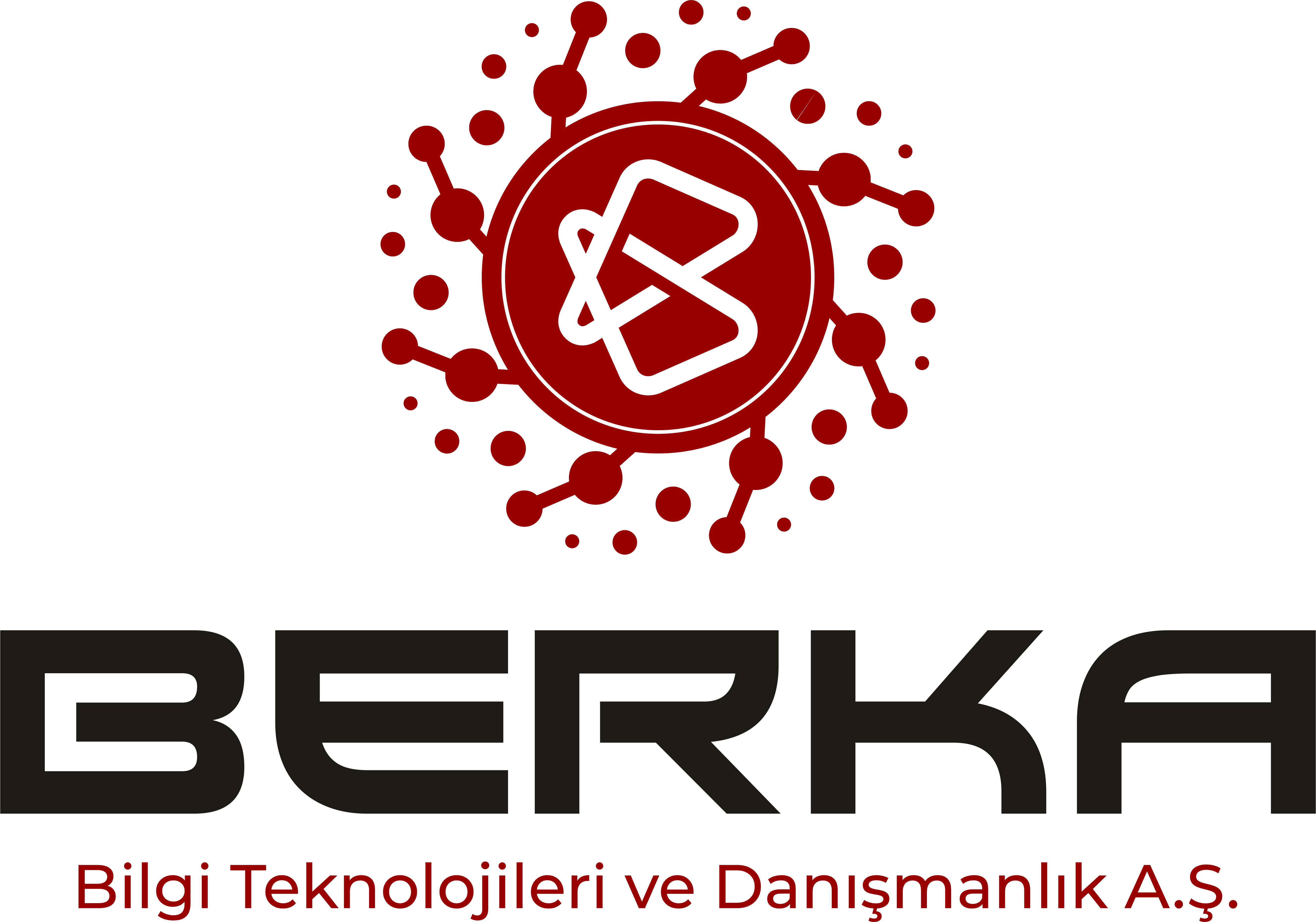 Berka Bilgi Teknolojileri
